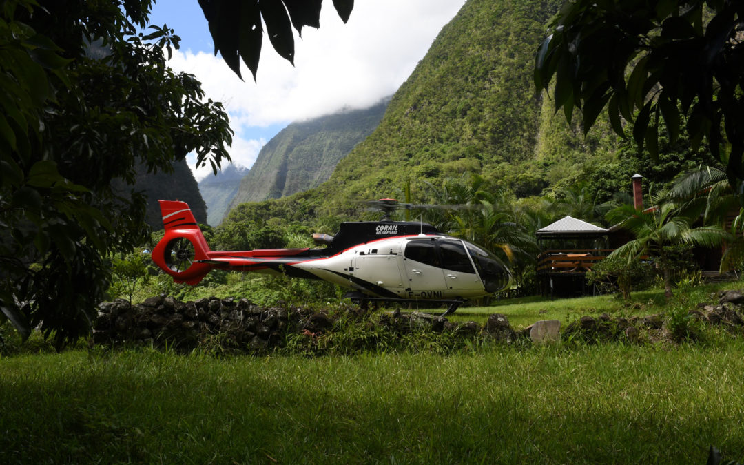 Flying in Paradise