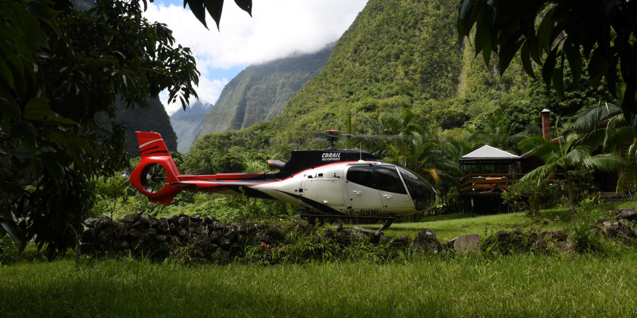 Flying in Paradise